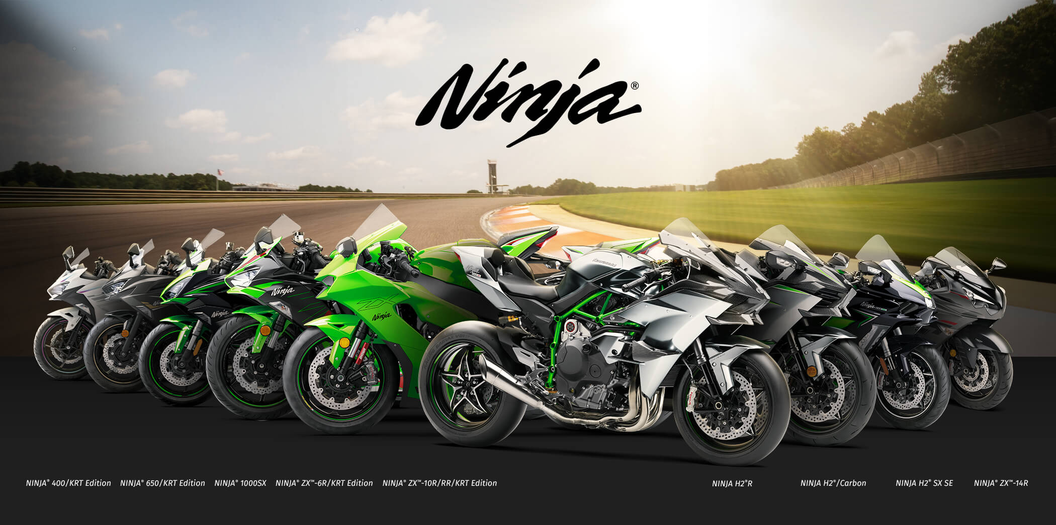 Ninja FAMILY: Ninja